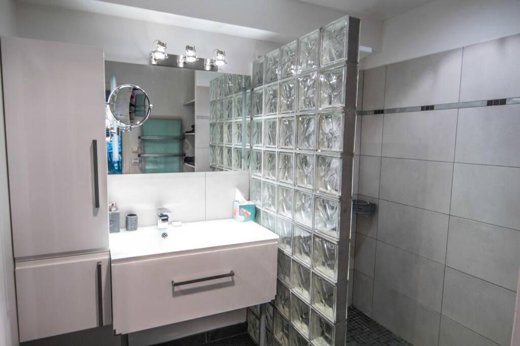 Appartement Avec Jardin Interieur 4 Pers Centre Ville Nemours Eksteriør billede